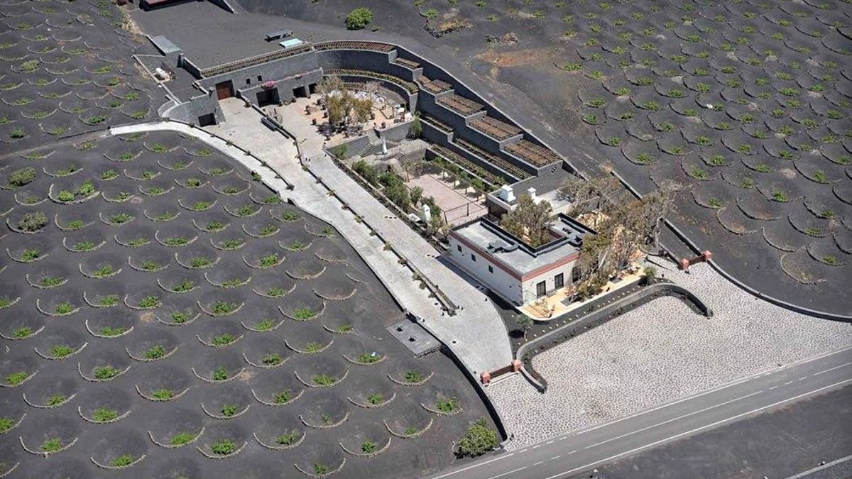 Stratvs Winery Volcanic Malvasia and wine tasting